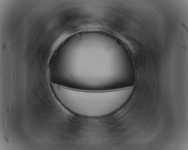 X0000094081472200710190907