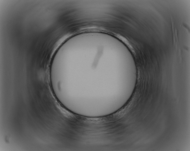 X0000094081474200710190907