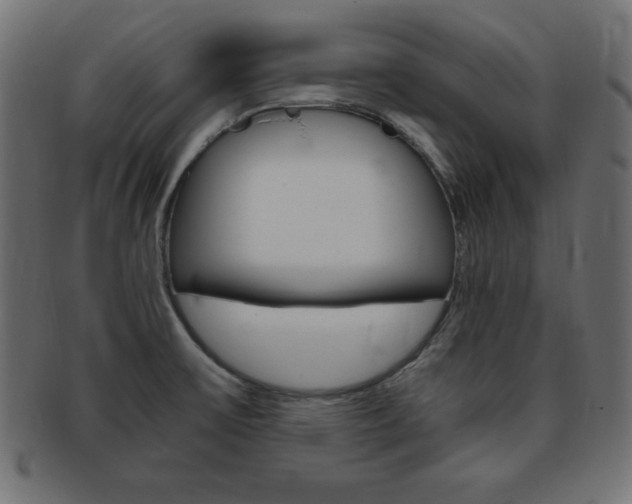 X0000094081475200710190907