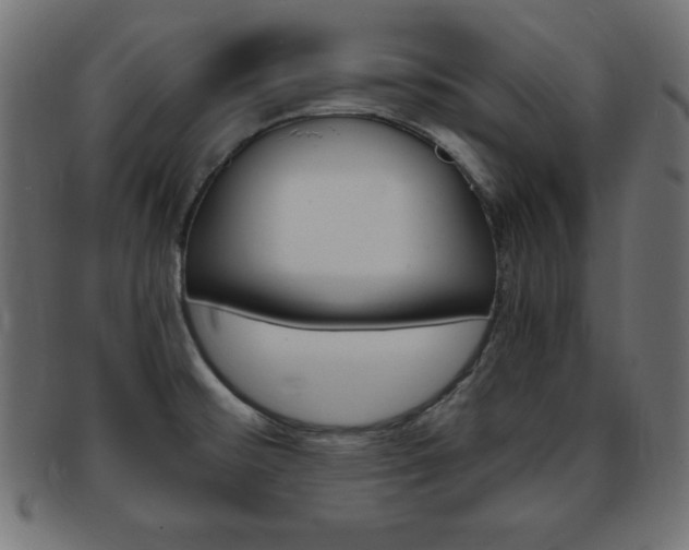 X0000094081476200710190907