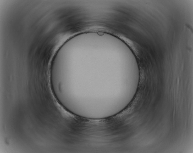 X0000094081478200710190907
