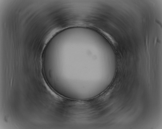 X0000094081479200710190907
