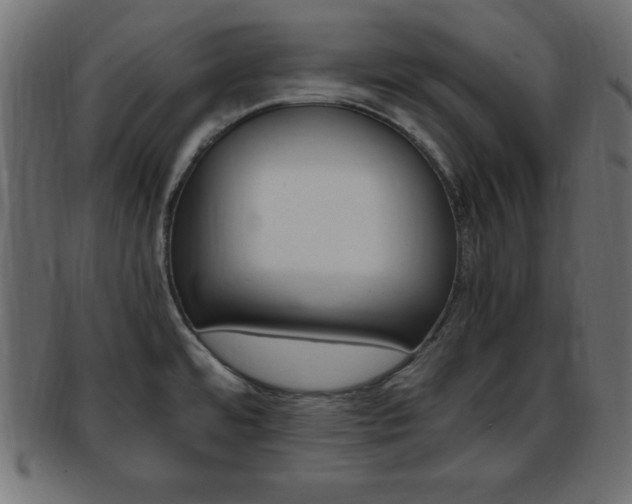 X0000094081480200710190907