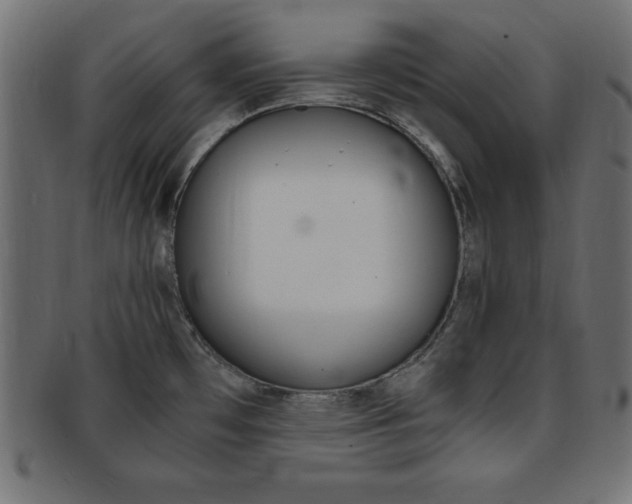 X0000094081481200710190907