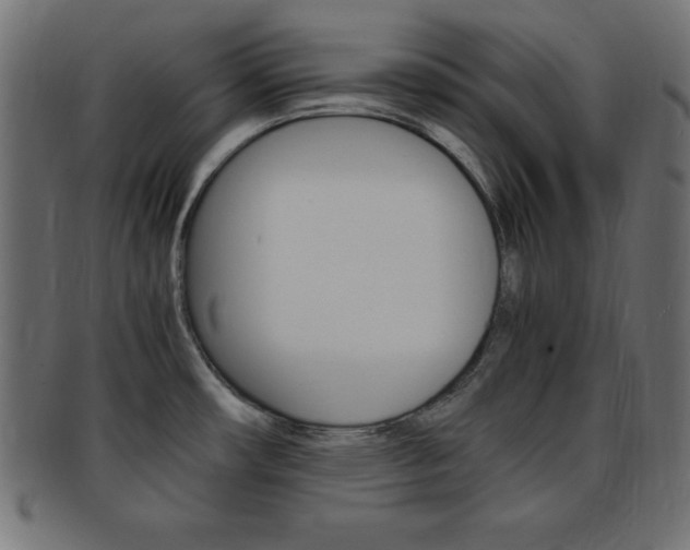 X0000094081482200710190907
