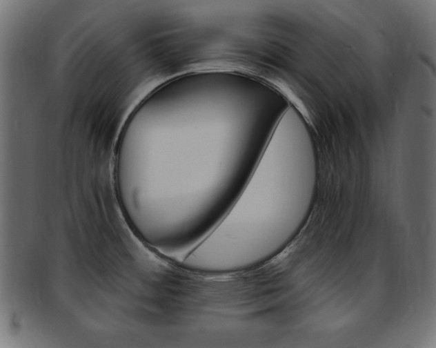 X0000094081484200710190906