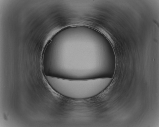 X0000094081485200710190906
