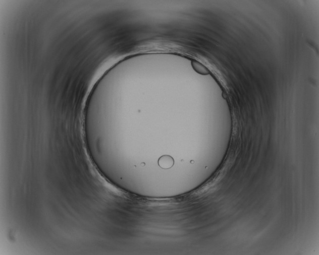 X0000094081486200710190906