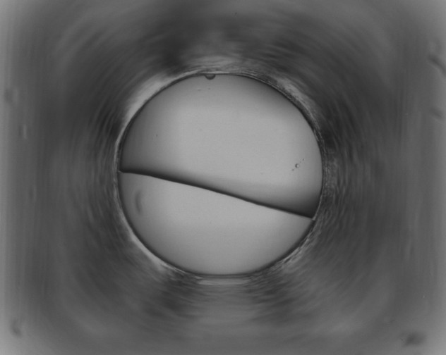X0000094081487200710190906