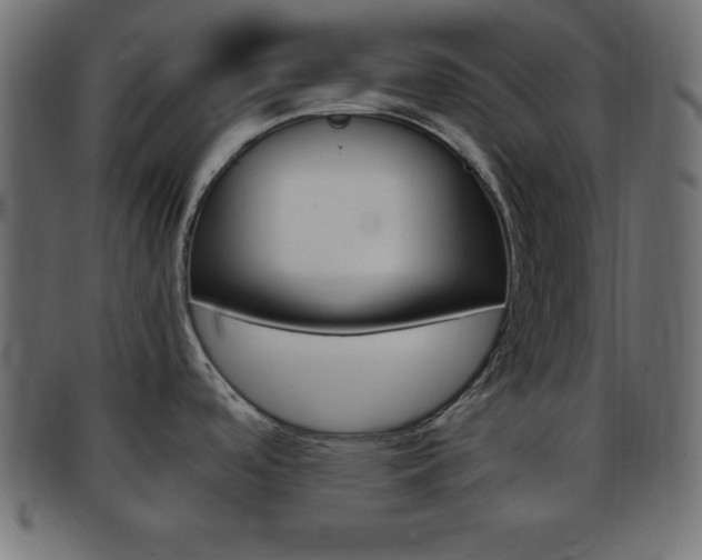 X0000094081488200710190906
