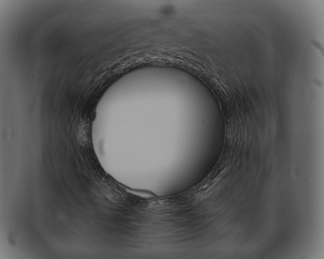 X0000094081490200710190906