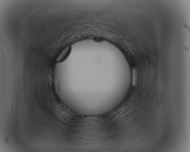 X0000094081491200710190906