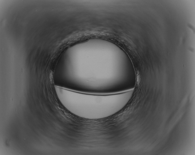X0000094081492200710190906