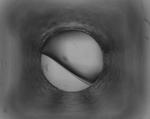 X0000094081493200710190906