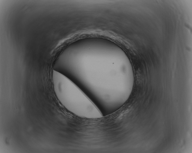 X0000094081494200710190906
