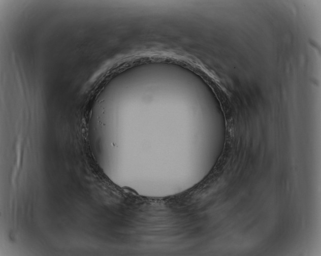 X0000094081495200710190906