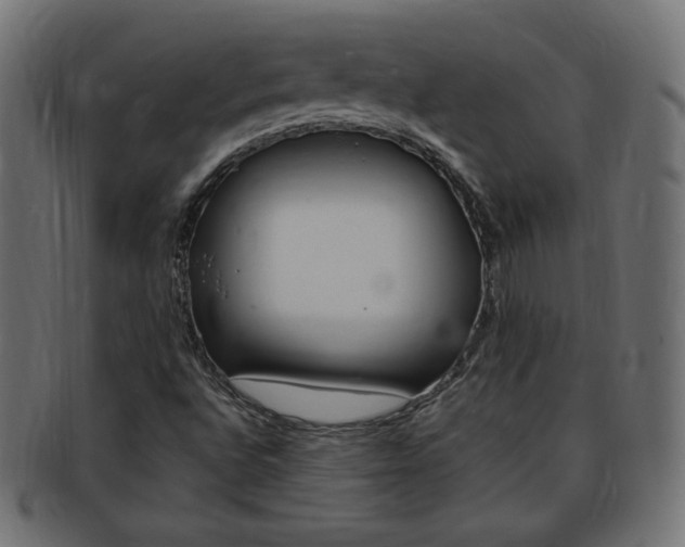 X0000094081496200710190906