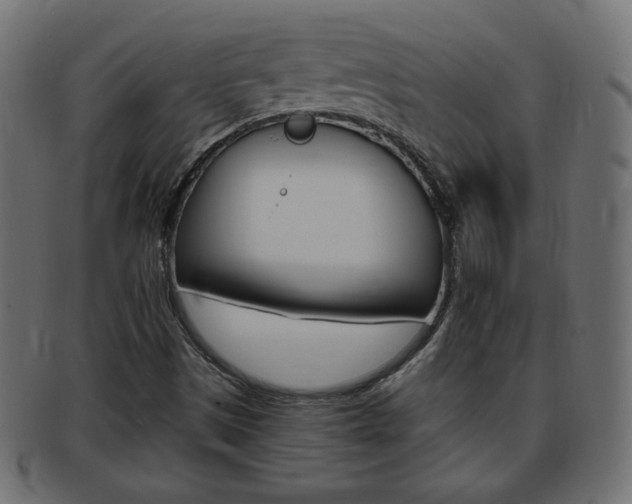 X0000094081497200710190906