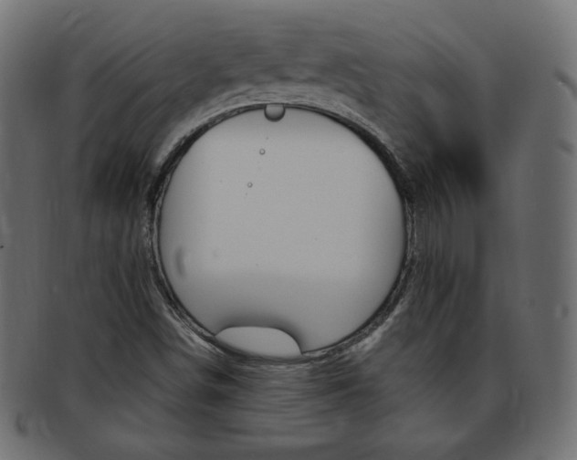 X0000094081498200710190906