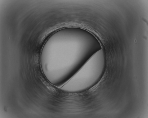X0000094081499200710190906