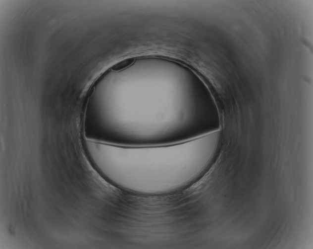 X0000094081500200710190906