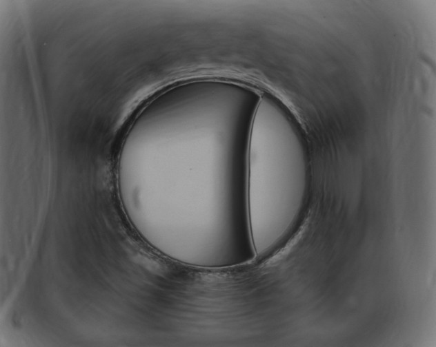 X0000094081501200710190906