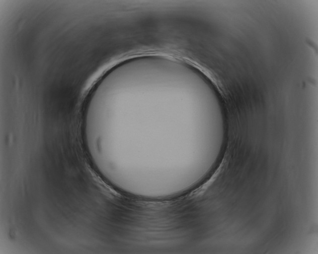 X0000094081502200710190906
