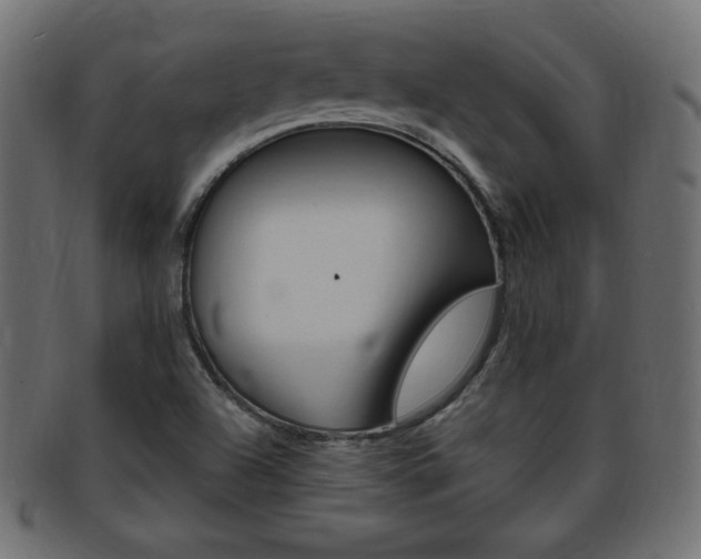 X0000094081504200710190906