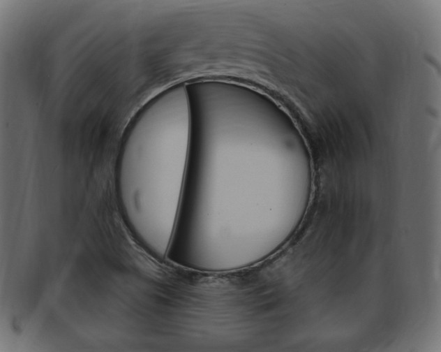 X0000094081505200710190906