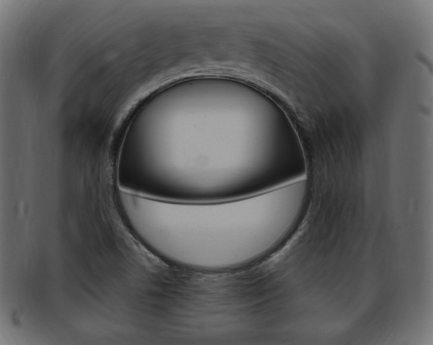X0000094081506200710190906