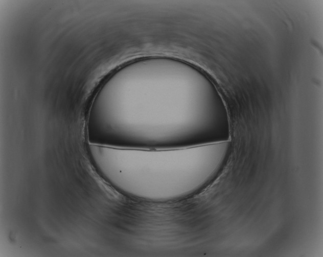 X0000094081507200710190906