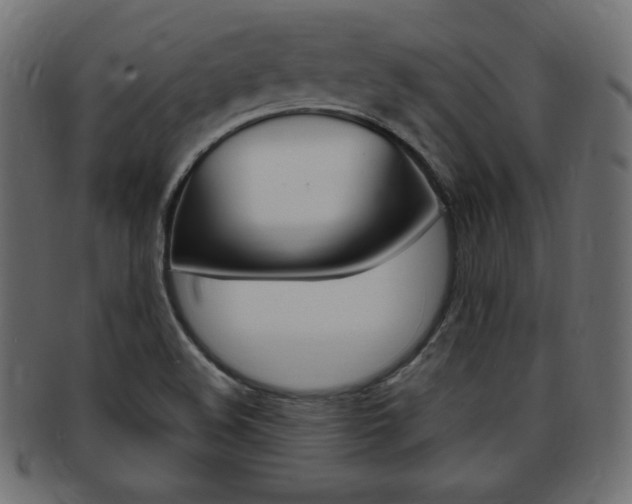 X0000094081508200710190906