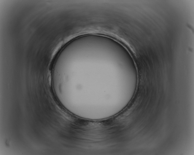 X0000094081509200710190906