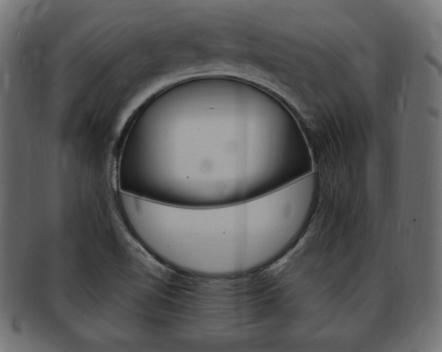 X0000094081510200710190906