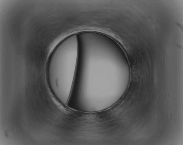 X0000094081511200710190906