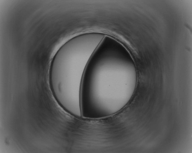 X0000094081512200710190906