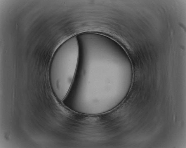 X0000094081513200710190906
