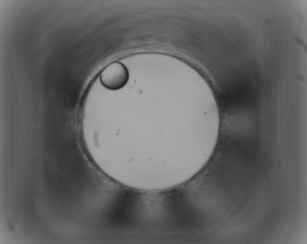 X0000094081514200710190906