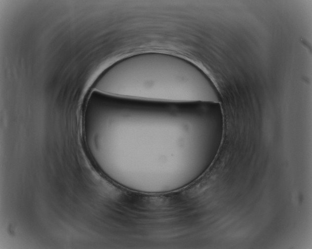 X0000094081515200710190906