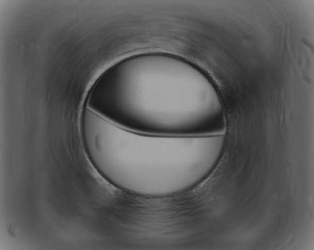 X0000094081516200710190906