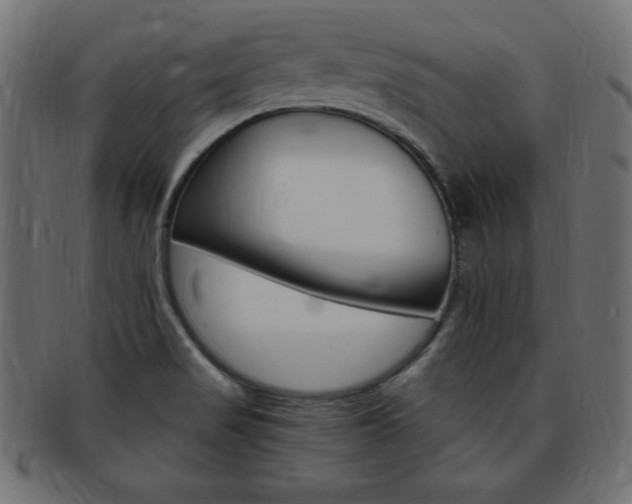 X0000094081517200710190906