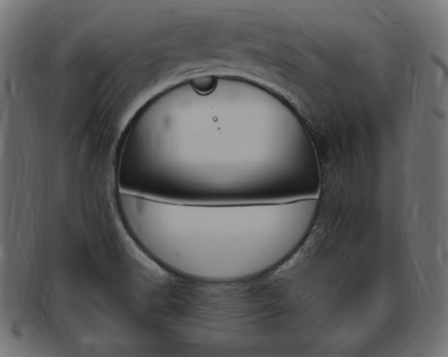 X0000094081518200710190906