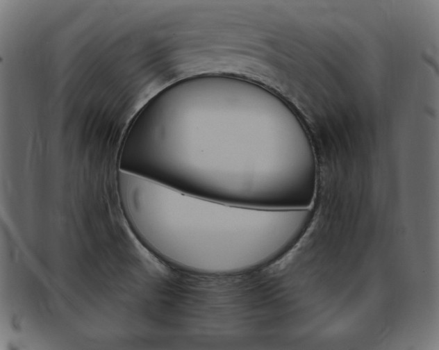 X0000094081521200710190906