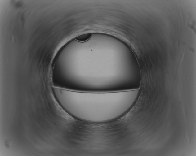 X0000094081522200710190906