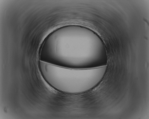 X0000094081523200710190906