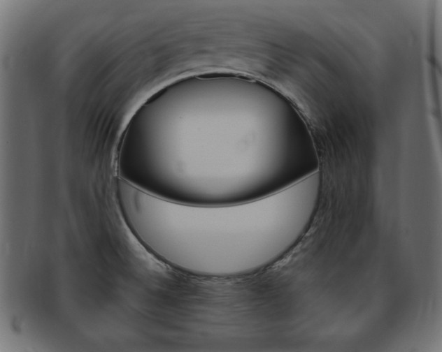 X0000094081524200710190906