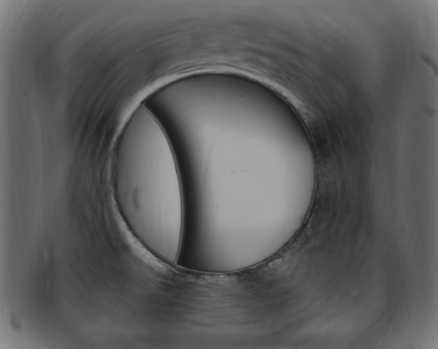 X0000094081526200710190906