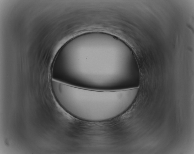 X0000094081527200710190906