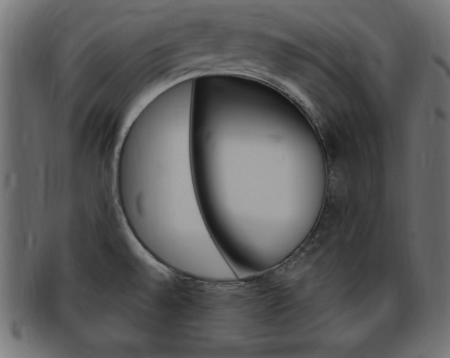 X0000094081528200710190906
