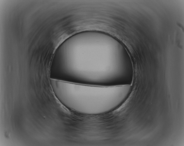 X0000094081529200710190906